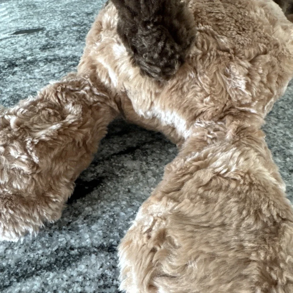 Chosun Puppy Dog Plush 20